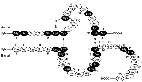 Amyloid Fibrillation Of Insulin Amelioration Strategies And