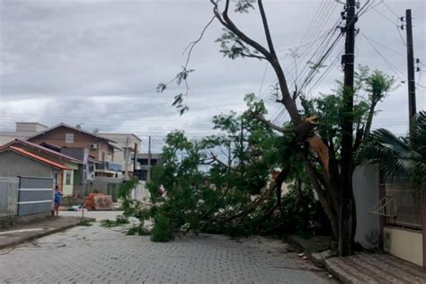 Caminhão derruba árvore rompe cabos de alta tensão e deixa moradores