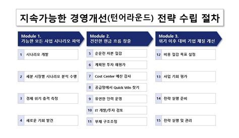 경영컨설팅 방법론 지속가능한 경영개선턴어라운드 전략 수립 절차 Sustainable Turnaround Strategy