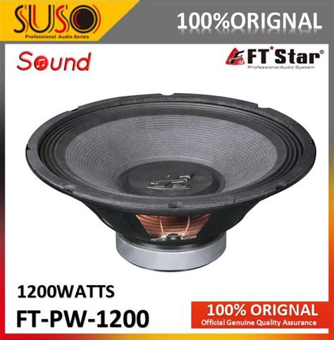 Ftpw Subwoofer Watts Speaker Ft Pw Inches Professional