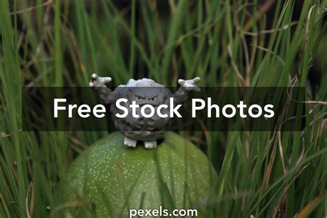 pokemon objects      pokemon objects stock