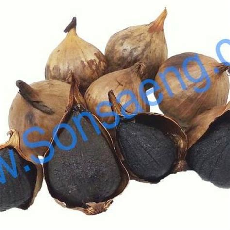 Jual Solo Black Garlic Bawang Hitam Lanang Bawang Hitam Tunggal