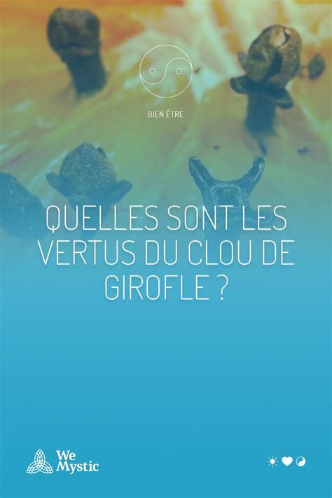 Quelles Sont Les Vertus Du Clou De Girofle Wemystic France Clou
