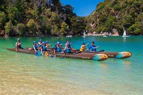 43 Fun Things to Do in Nelson, New Zealand - TourScanner