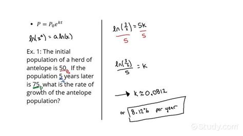 Continuous Exponential Growth Model Hot Sex Picture