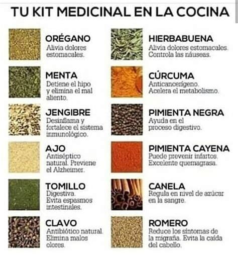 Beneficios Y Curiosidades De La Yerba Mate Artofit