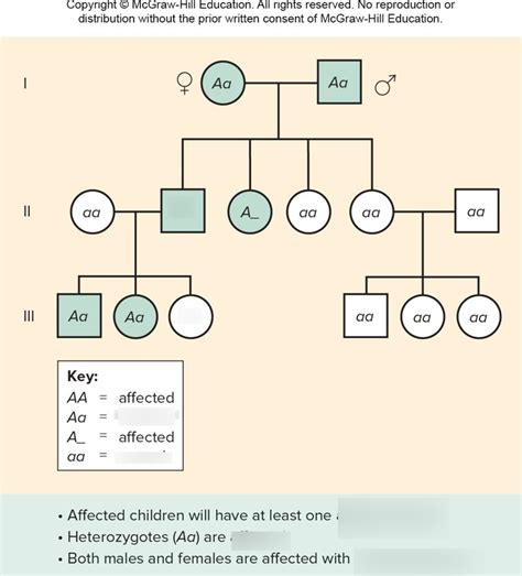 Pedigree Chart Autosomal Dominant