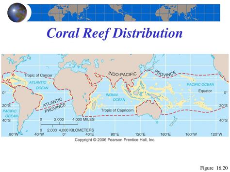 Ppt Chapter The Oceans Coastal Processes And Landforms