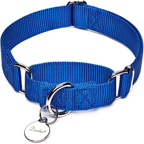 The 11 Best Dog Collars For Pulling