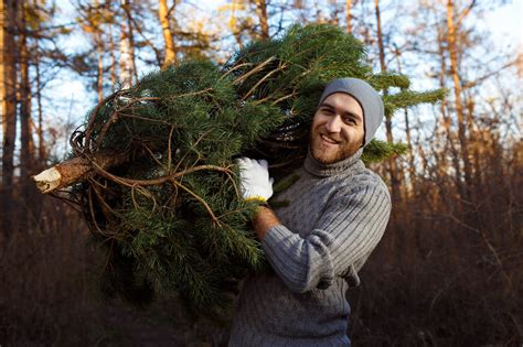 Undgå stress og jag Bestil dit juletræ online Masso