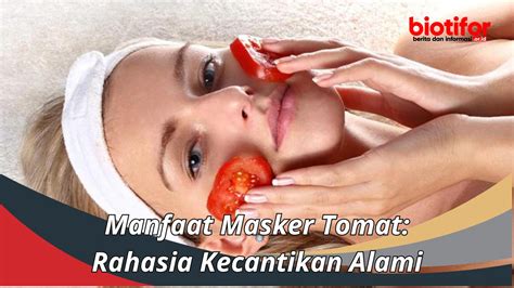 Manfaat Masker Tomat Rahasia Kecantikan Alami Biotifor