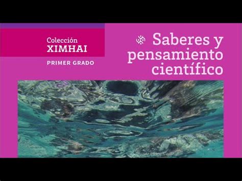 Secundaria Primer Grado Saberes Y Pensamiento Cient Fico Youtube