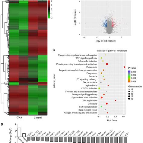 Gene Expression Profiling Of Gna Treated And Untreated A Cis Cells