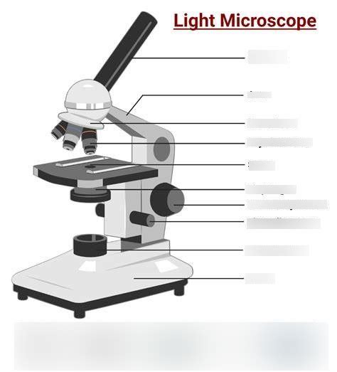 Microscope Labelling Diagram Quizlet