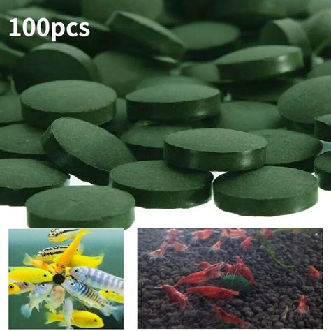 Comprim S D Enrichissement De Spiruline Accessoires D Aquarium