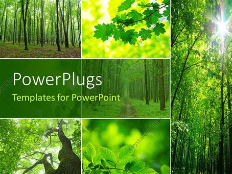 PowerPoint Template: collage of a forest with trees and green leaves ...