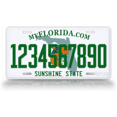 Snagshout Personalized Florida License Plate Realistic Replica Fl