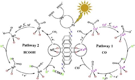 Proposed Mechanism For The Photocatalytic Reduction Of CO2 With