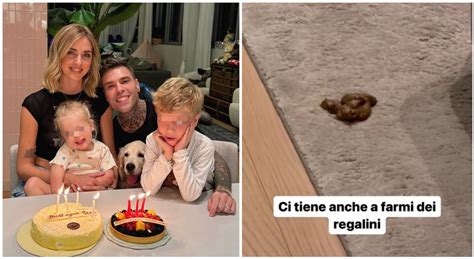 Fedez Il Cane Paloma E La Sorpresa Inaspettata Ci Tiene A Farmi