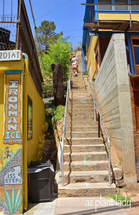 Bisbee Stair Climb 2024 - Cahra Corella