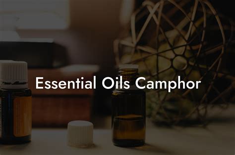 Essential Oils Camphor Oshu Artisan Essential Earth Oils