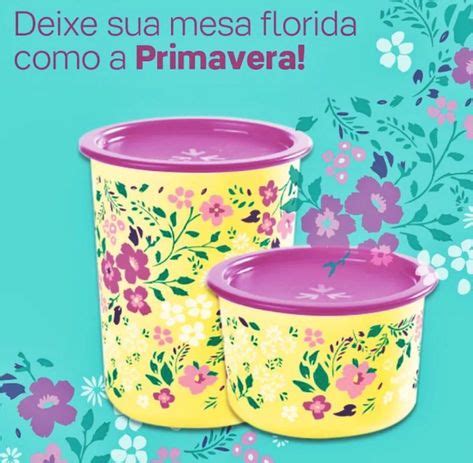 Tupperware Kit Super Instantânea Flores Do Campo 2 Pçs R 125 00 em