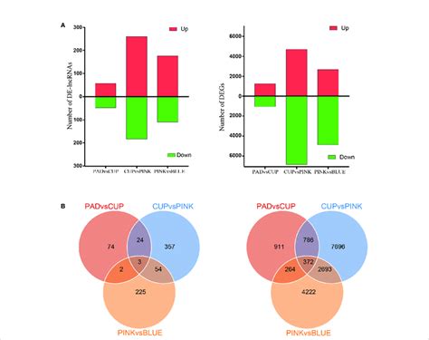 Analysis Of Differentially Expressed Lncrnas And Mrnas A Numbers Of Download Scientific