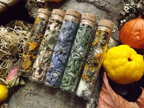 Set Of 5 Herb Vials Herbs Scottish Wildharvested Witchcraft Wicca