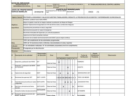 Programa Anual De Seguridad De Seguridad Y Salud En El Trabajo