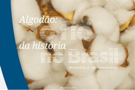 Livro on line Algodão o fio da história no Brasil Ampasul