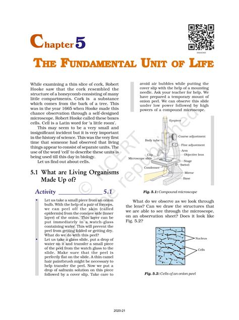 The Fundamental Unit Of Life Ncert Book Of Class Science