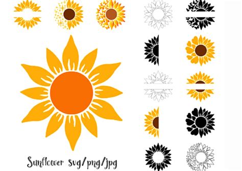 Sunflower Svg Bundle Sunflower Svg Flower Svg Monogram Svg Etsy