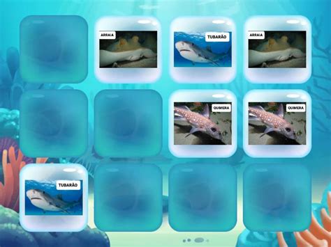 Peixes Cartilaginosos 配對遊戲