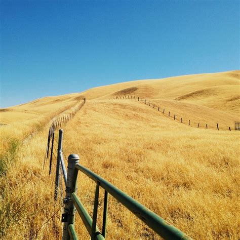 Del Puerto Canyon Attilaadam In 2023 California Landscape