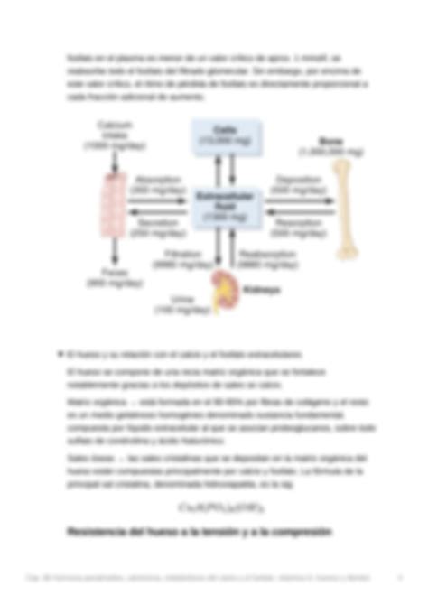 Solution Resumen Tratado De Fisiologia Medica Guyton Y Hall Cap