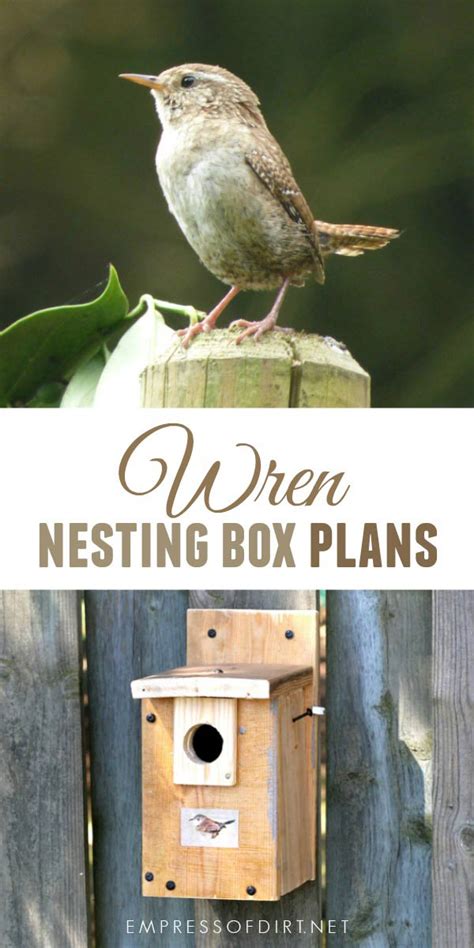 Make A Wren Nesting Box Empress Of Dirt