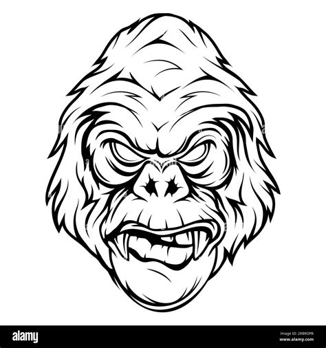 Gorila Ilustración vectorial de primates Boceto de una cabeza de