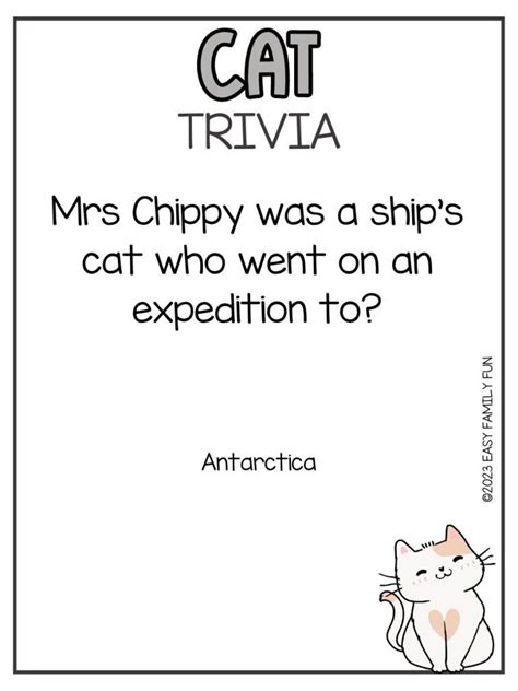 65 Captivating Cat Trivia Questions and Answers