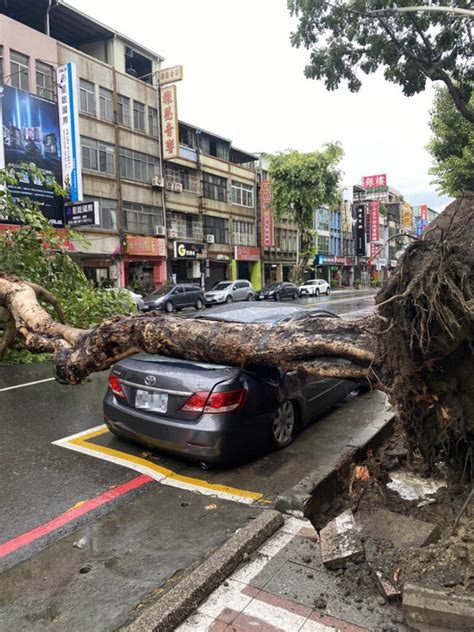 高雄大雨 路樹倒塌壓毀汽車、燕巢200多戶停電 生活 中央社 Cna