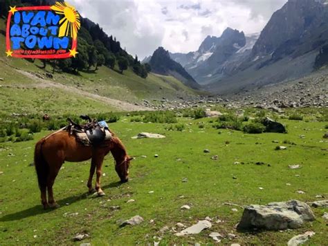 India Pony Ride To The Himalayan Glaciers Of Kashmir Valley In