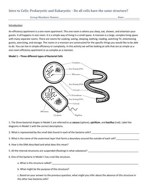 Pdf Intro To Cells Prokaryotic And Eukaryotic Do All Cells Have