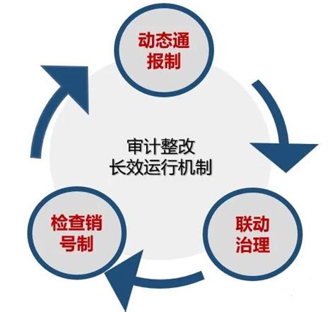 《西南交通大学审计结果运用实施办法》文件解读 西南交通大学审计处