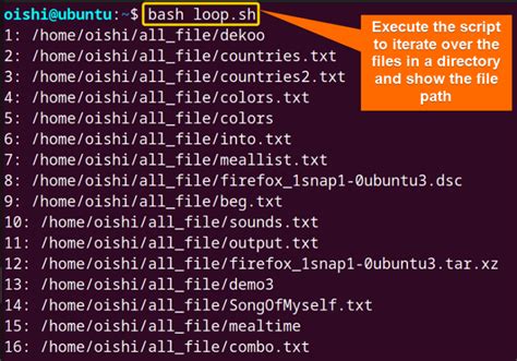 How To Loop Through Files In Bash Directory With Examples Linuxsimply