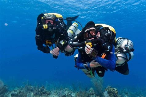 Expérience de plongée sous marine d une journée complète pour les