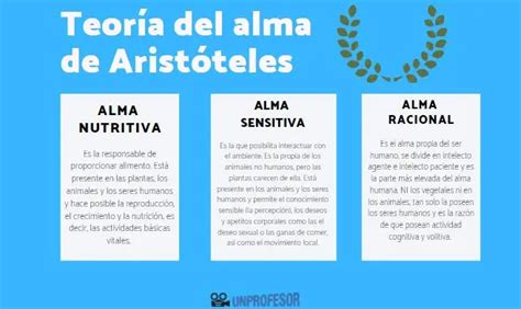 Tratado Del Alma De Aristóteles Resumen Y Explicación En Pocas Palabras