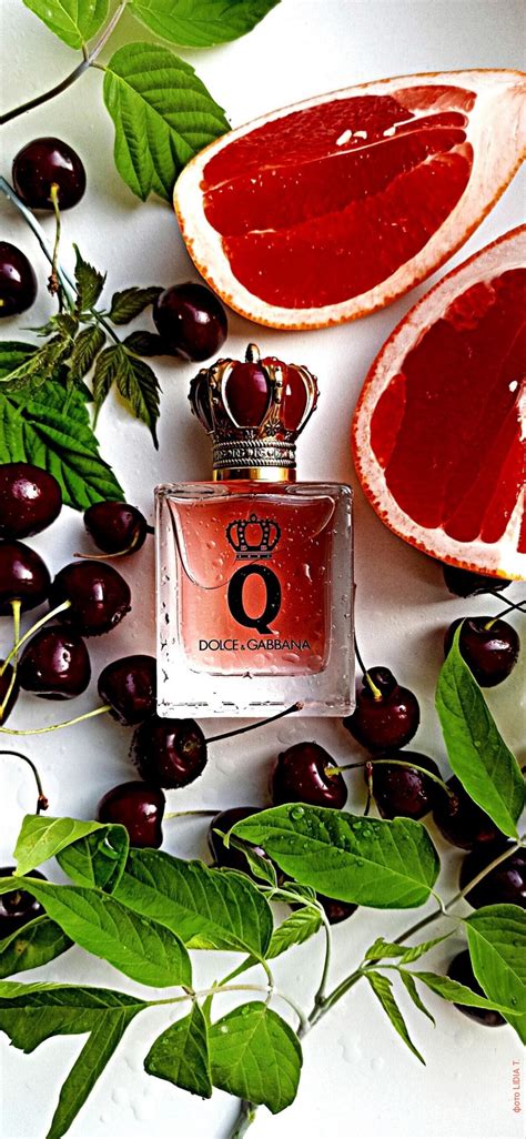 Q By Dolce Gabbana Dolce Gabbana Fragancia Una Nuevo Fragancia Para