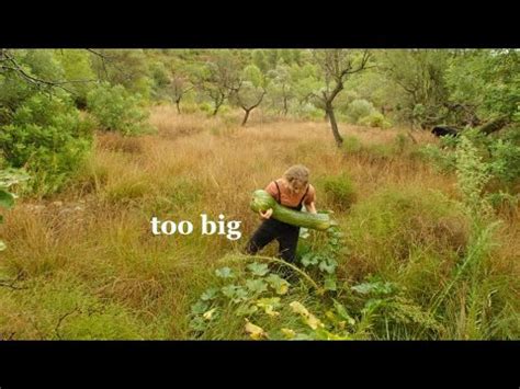 First Year S Harvests Big And Small From Our Homestead YouTube