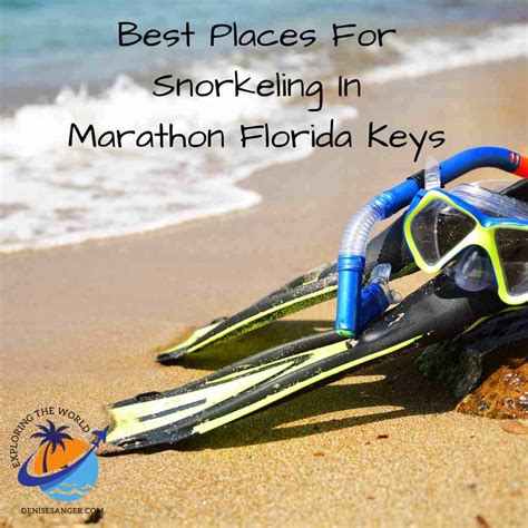 Best Places For Snorkeling In Marathon Florida Keys - Travel Florida Advice Blog Tips for 2024