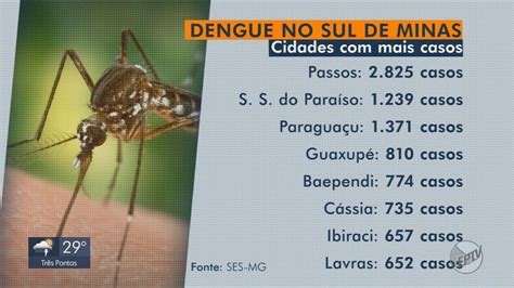 Sul De Minas Tem Mais De 15 Mil Casos De Dengue Registrados Em 2022