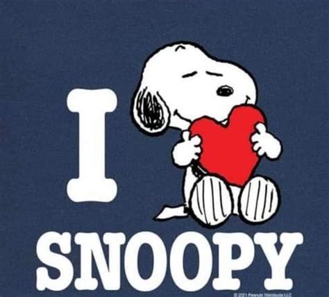 Pin by Susan Anhold on Snoopy | Snoopy the dog, Snoopy wallpaper ...